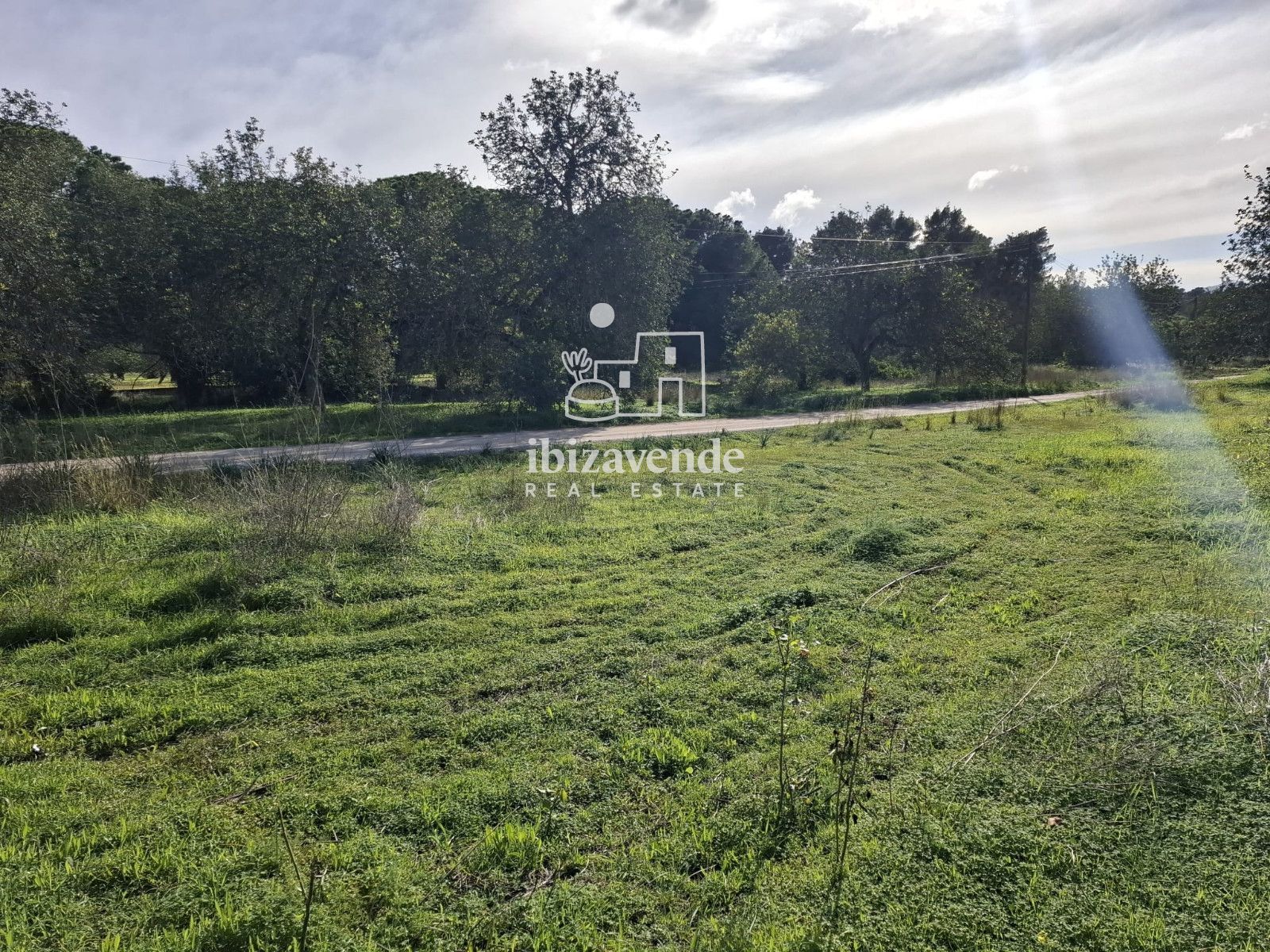 Mobilia Immobiliare Immagine