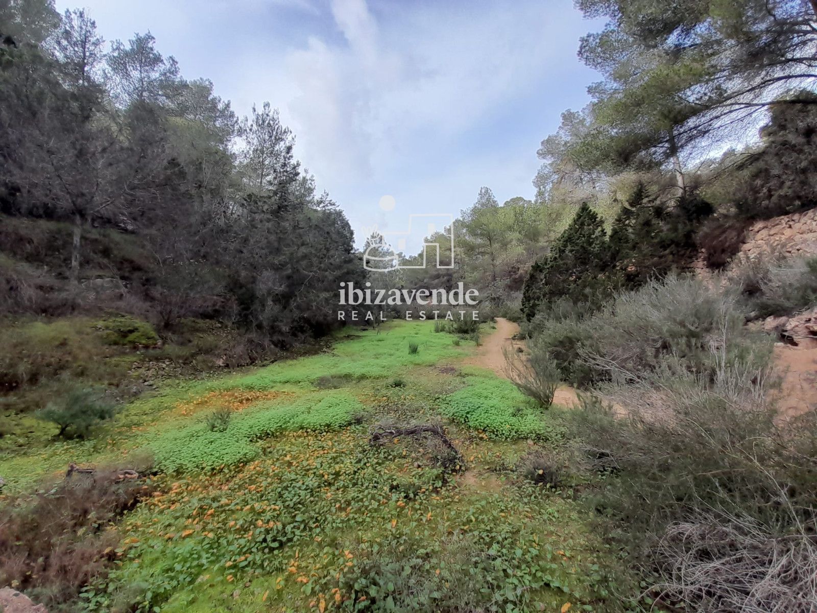 Mobilia Inmueble Image