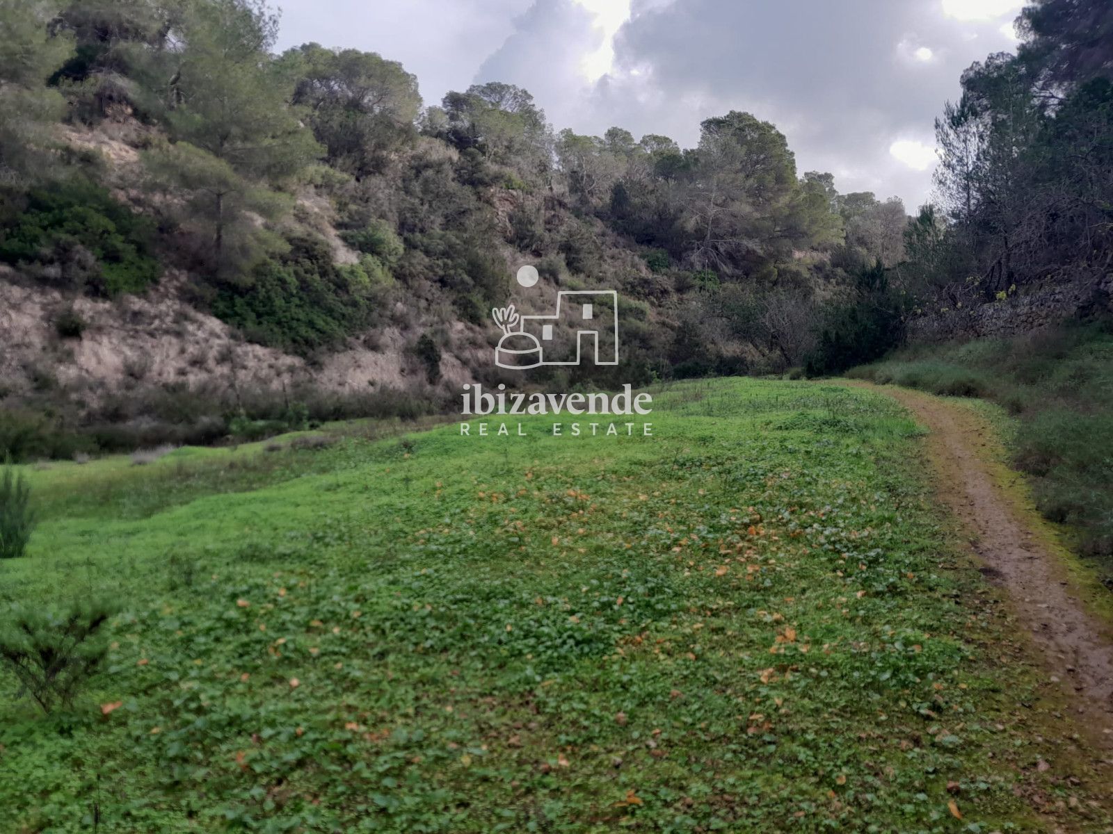 Mobilia Inmueble Image