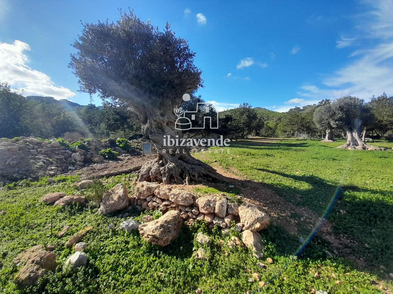 Mobilia Inmueble Image