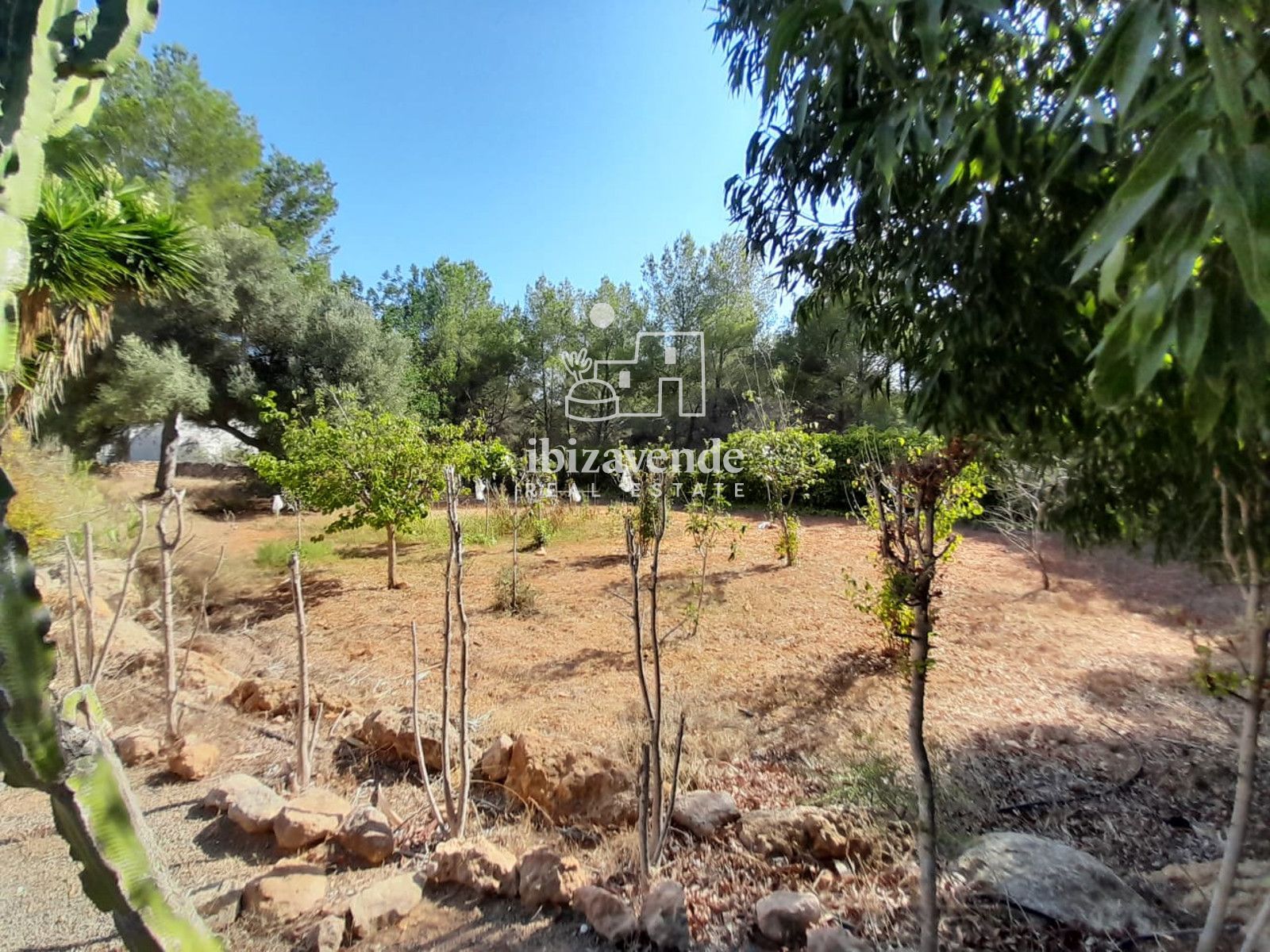 Mobilia Inmueble Image
