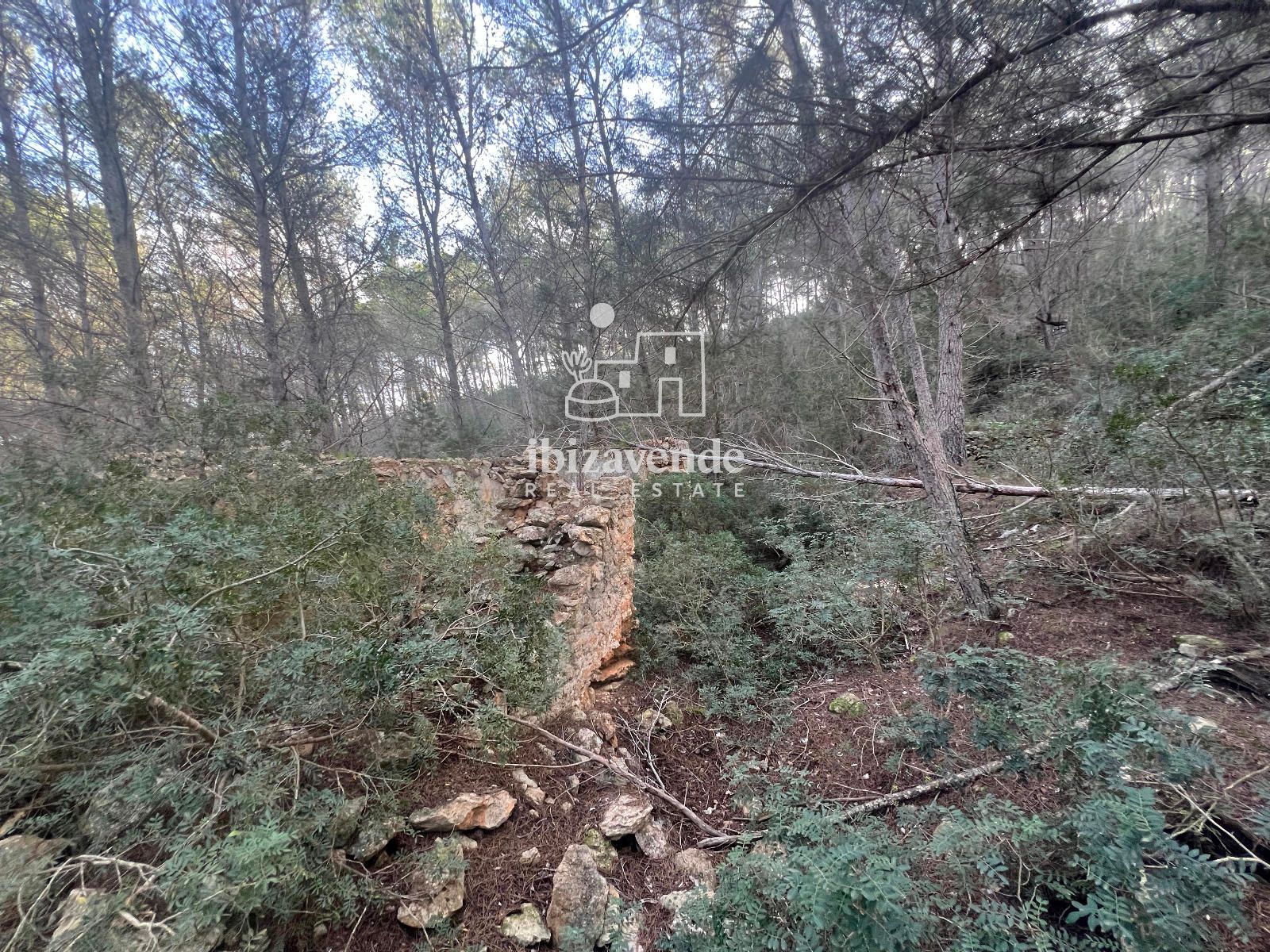 Mobilia Inmueble Image