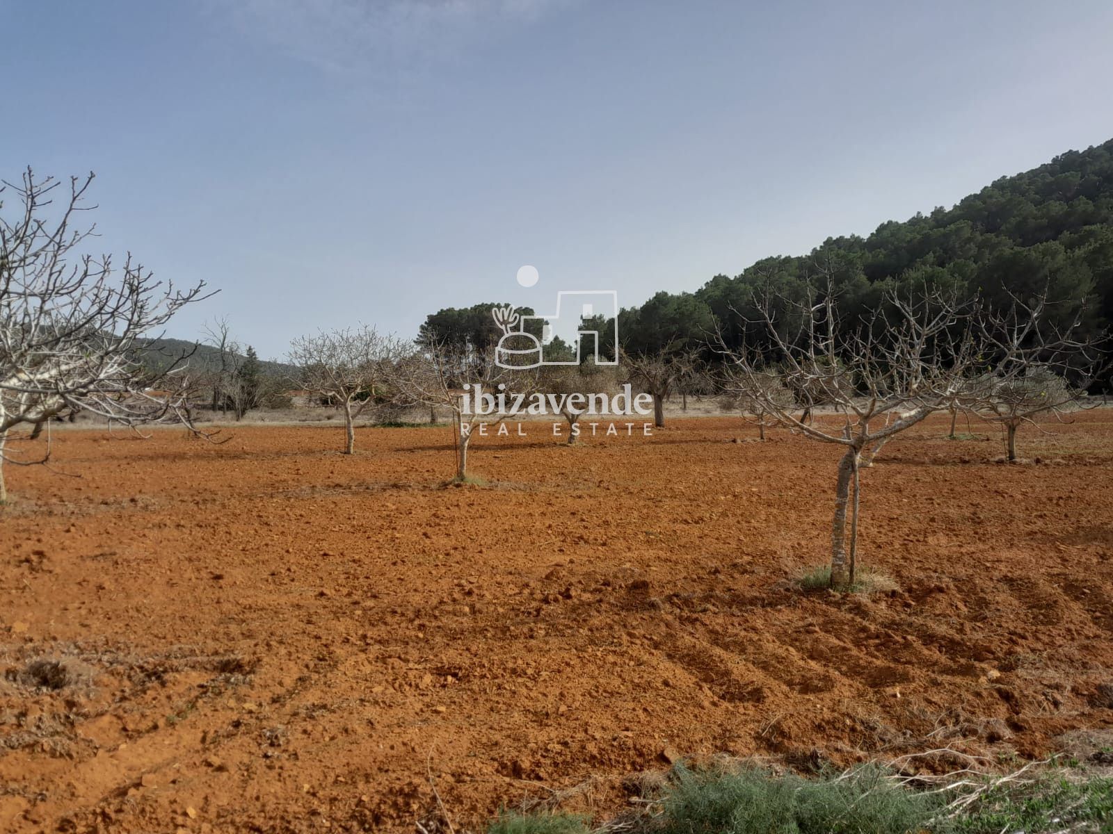 Mobilia Inmueble Image