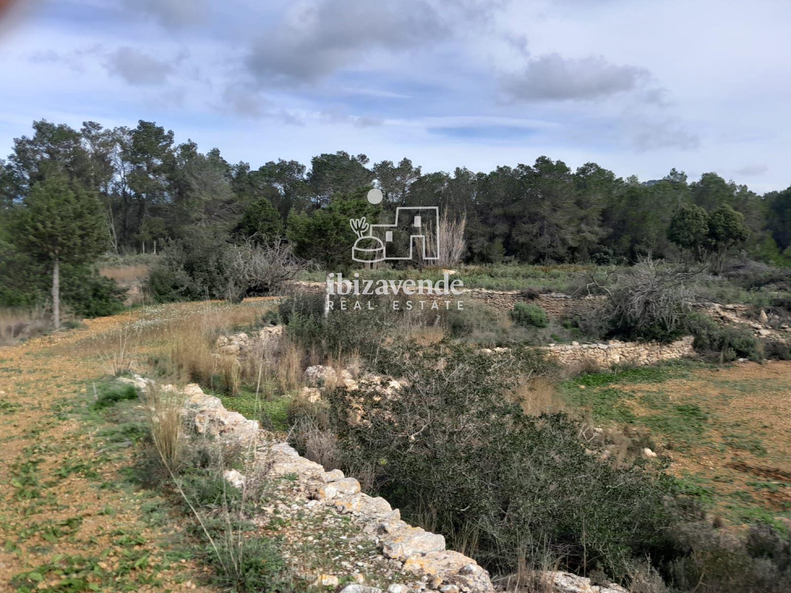 Mobilia Inmueble Image