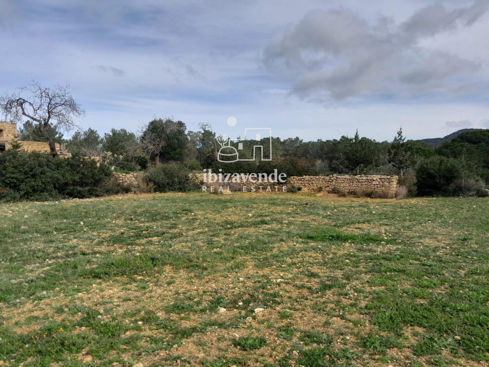 Mobilia Inmueble Image