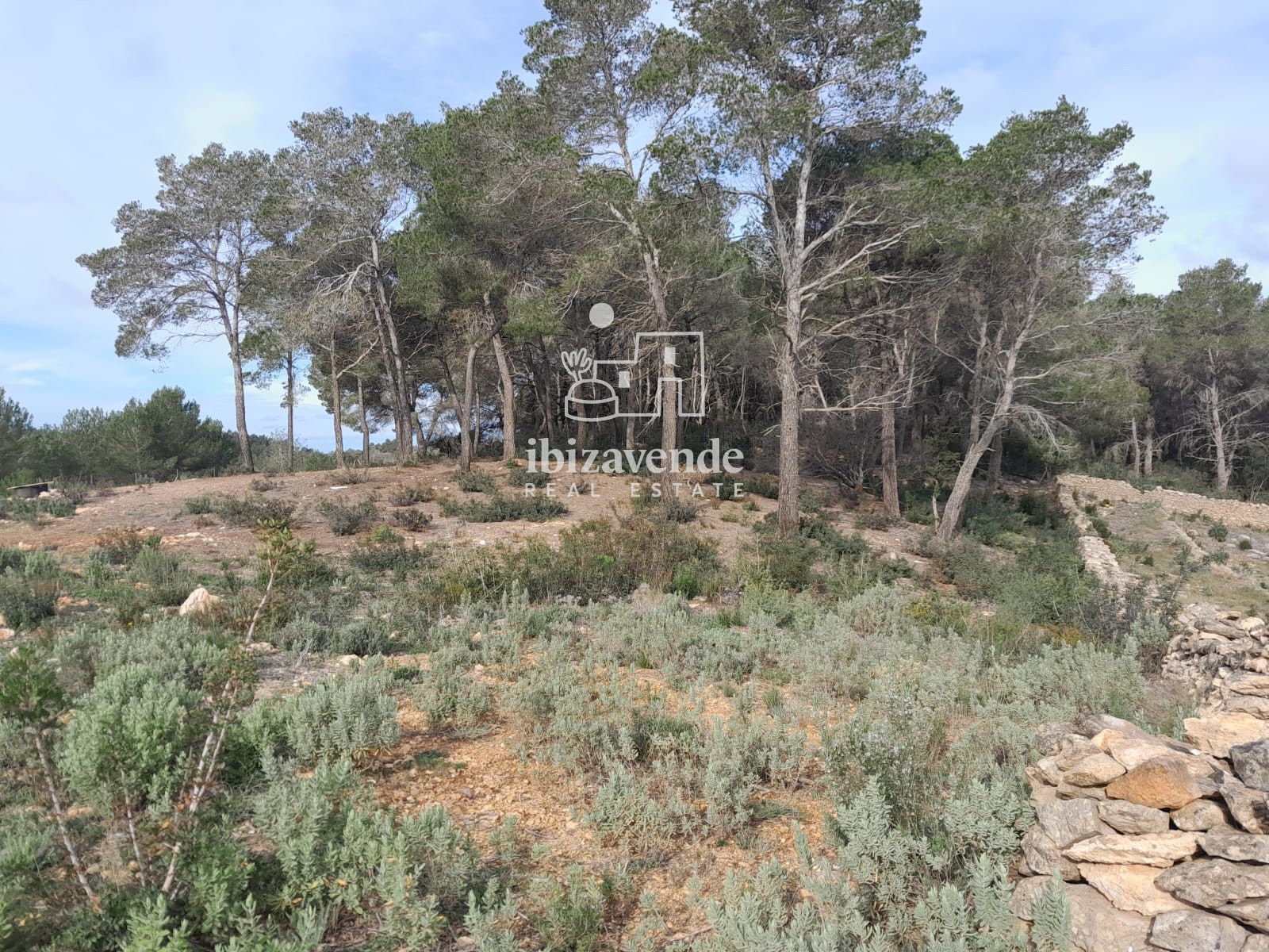 Mobilia Inmueble Image