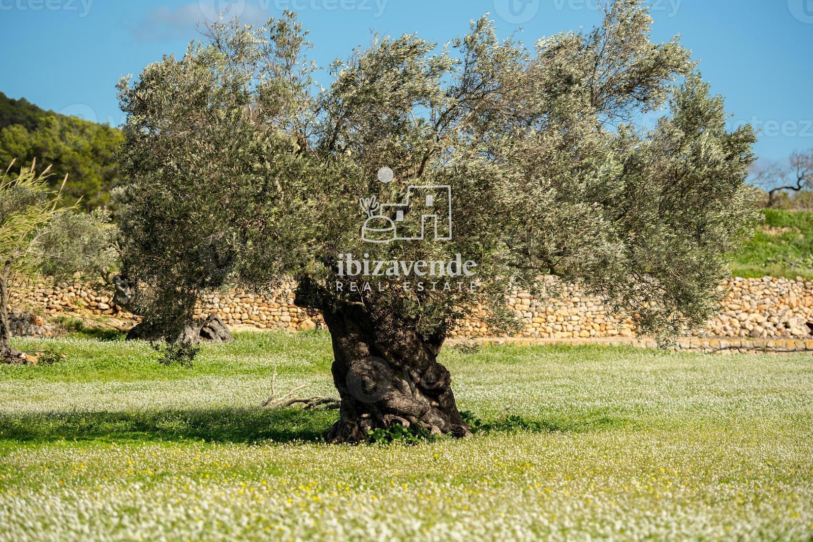Mobilia Inmueble Image