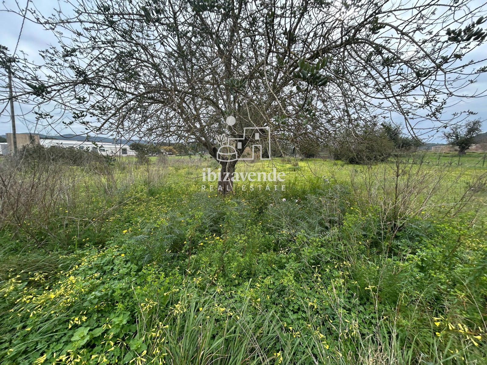Mobilia Inmueble Image