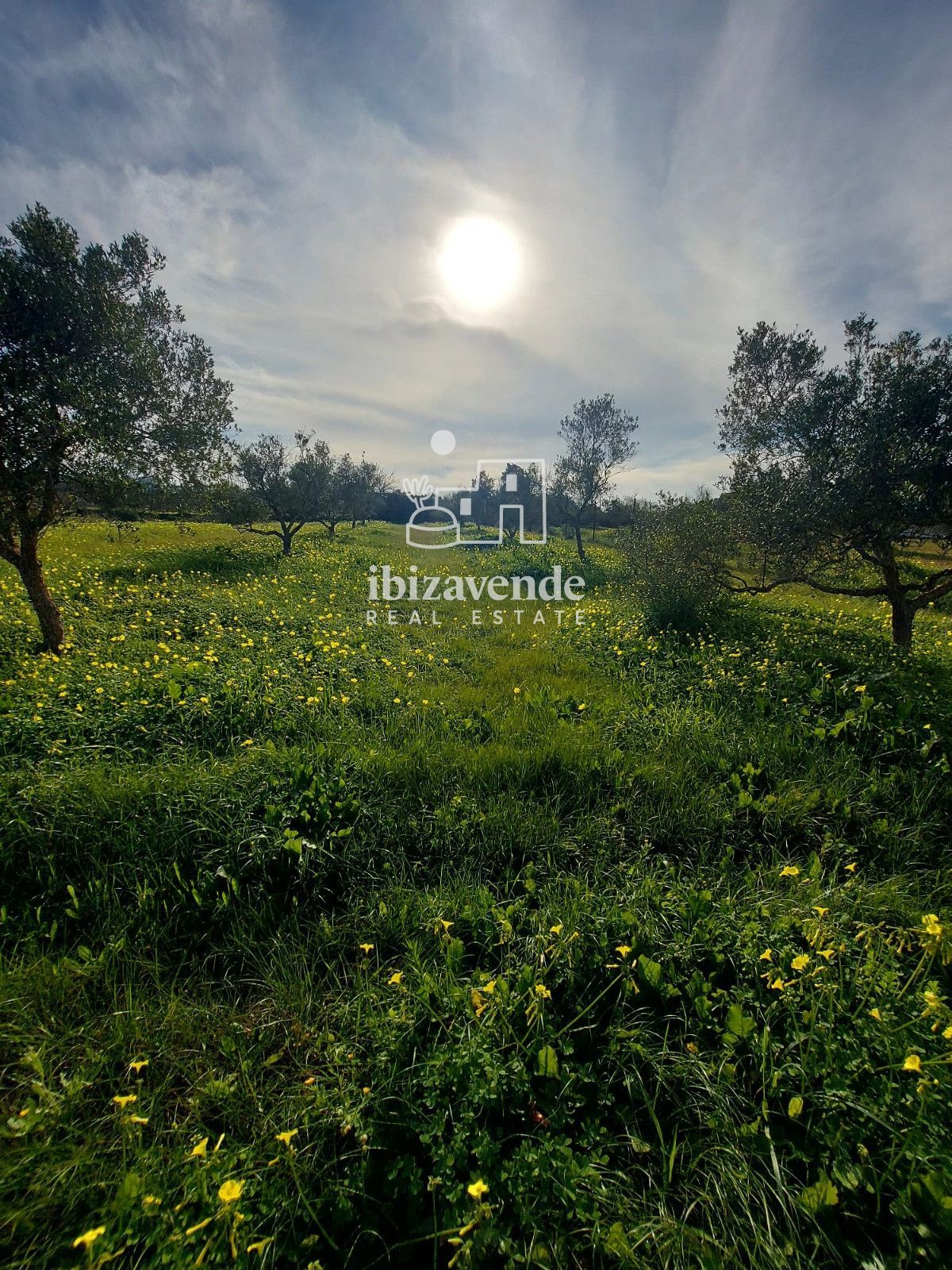 Mobilia Inmueble Image